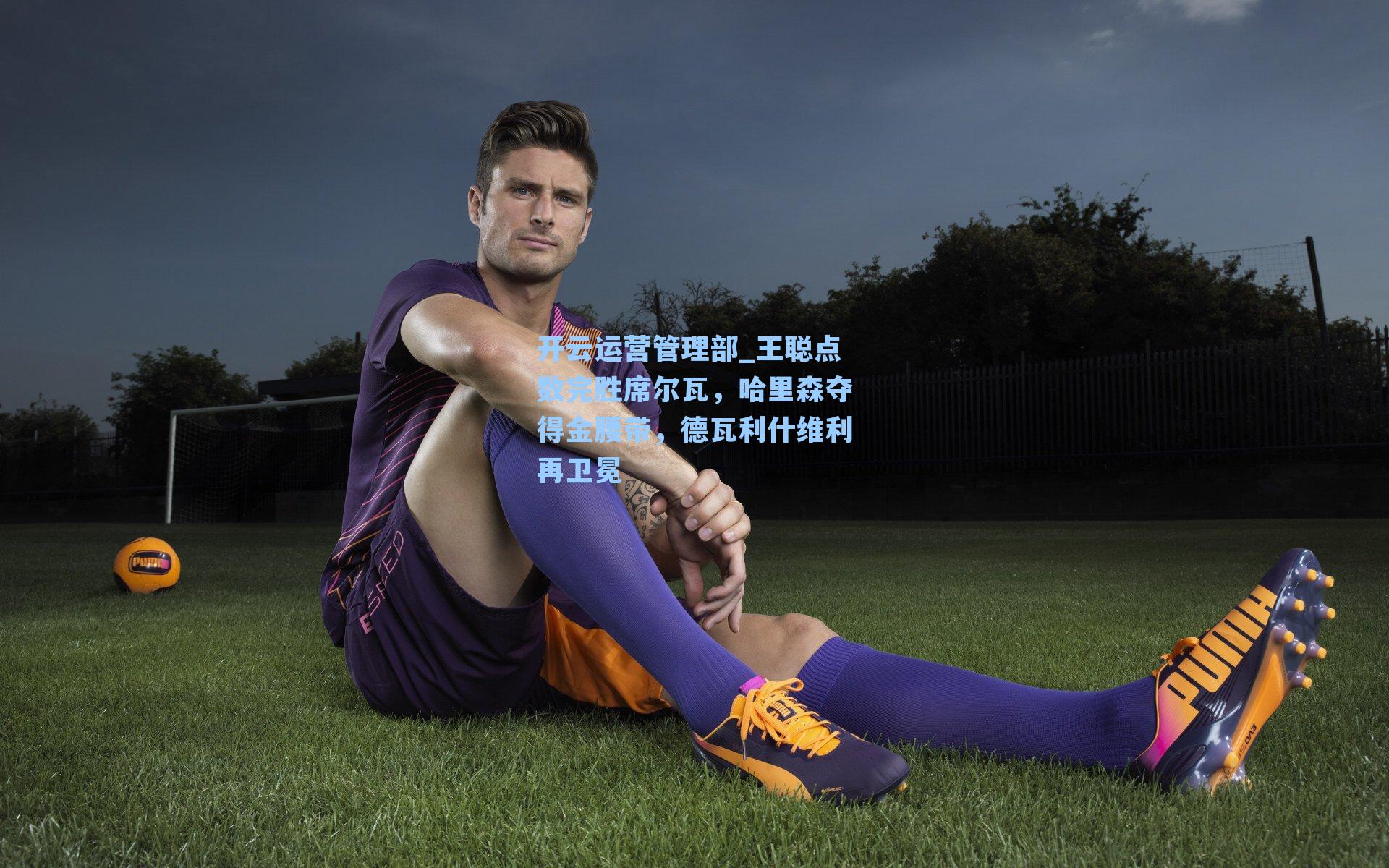 开云运营管理部_王聪点数完胜席尔瓦，哈里森夺得金腰带，德瓦利什维利再卫冕