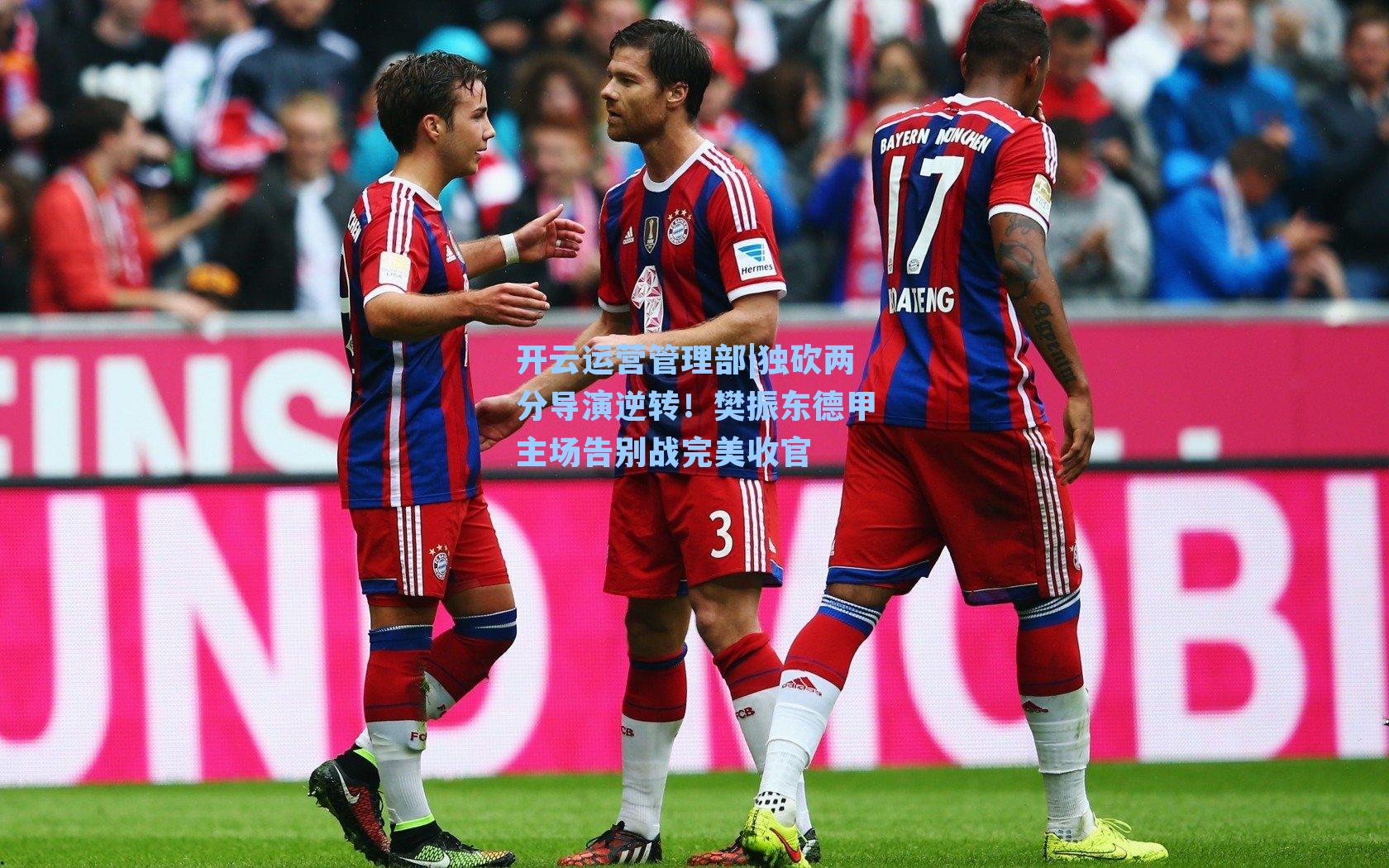 独砍两分导演逆转!樊振东德甲主场告别战完美收官